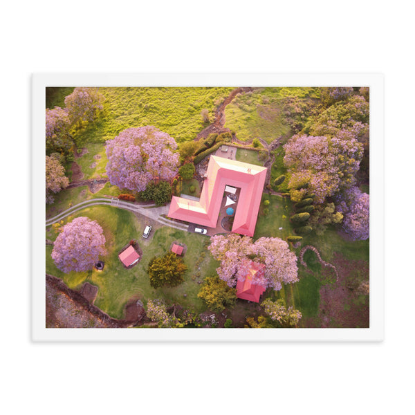 UPCOUNTRY BLOOM Framed photo poster
