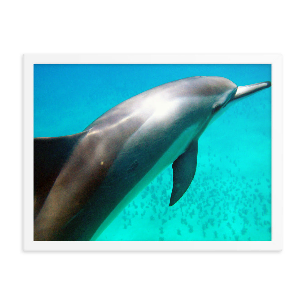 "SPINNER" Framed photo paper poster