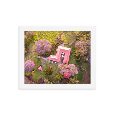 UPCOUNTRY BLOOM Framed photo poster